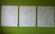 Thorsten Petzold - Schwarm-Triptychon A1, 2010, 3x80x100cm, Acryl.jpg